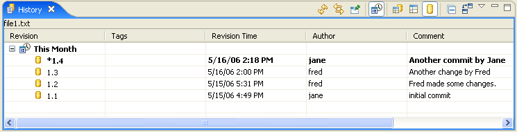 CVS Resource History View